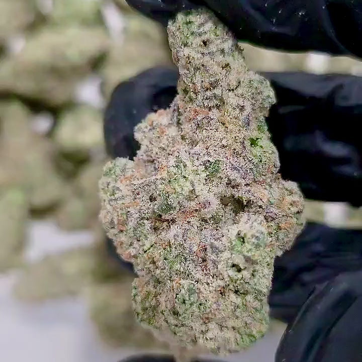 Cap Junky (Hybrid - 29.9% THCA)