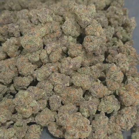 Jelly Drip (Hybrid - 31.76% THCA)