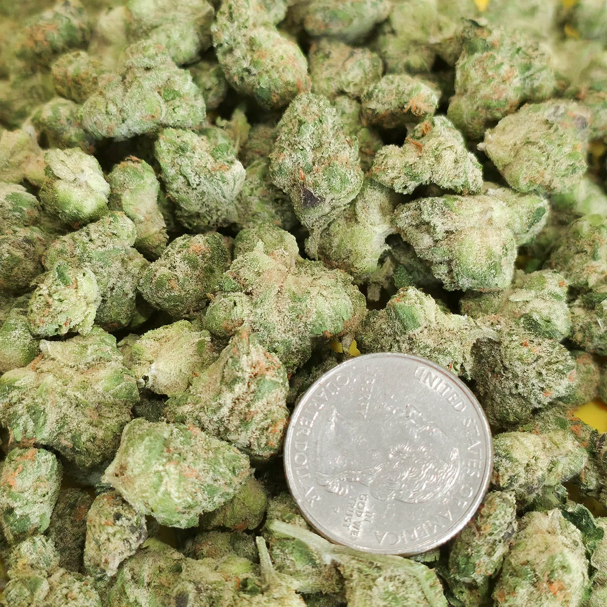 Sugar Tarts Smalls (Hybrid - 28.92% THCA)